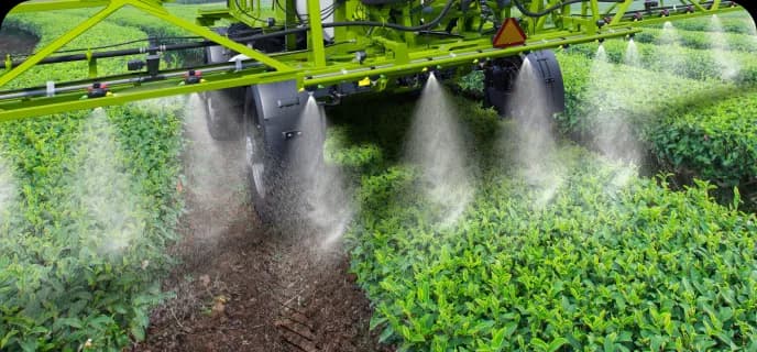 Implement Section Display